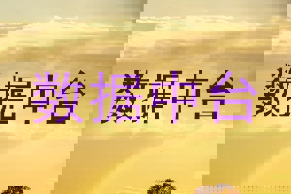 数据中台