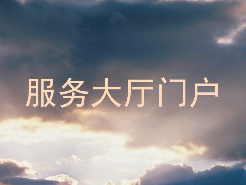 服务大厅门户