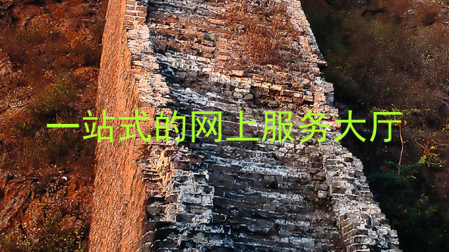 一站式的网上服务大厅
