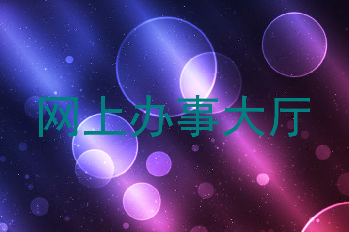 网上办事大厅