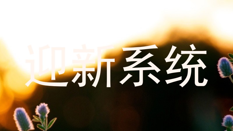 迎新系统