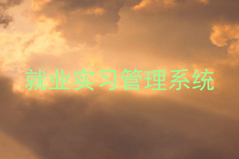 就业实习管理系统