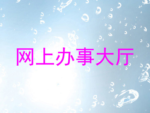 网上办事大厅