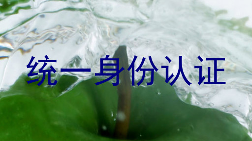 统一身份认证