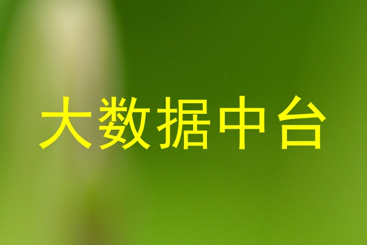 大数据中台