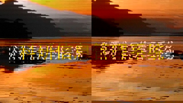 科研信息管理系统