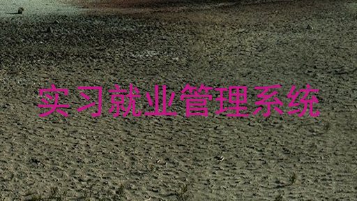 实习就业管理系统