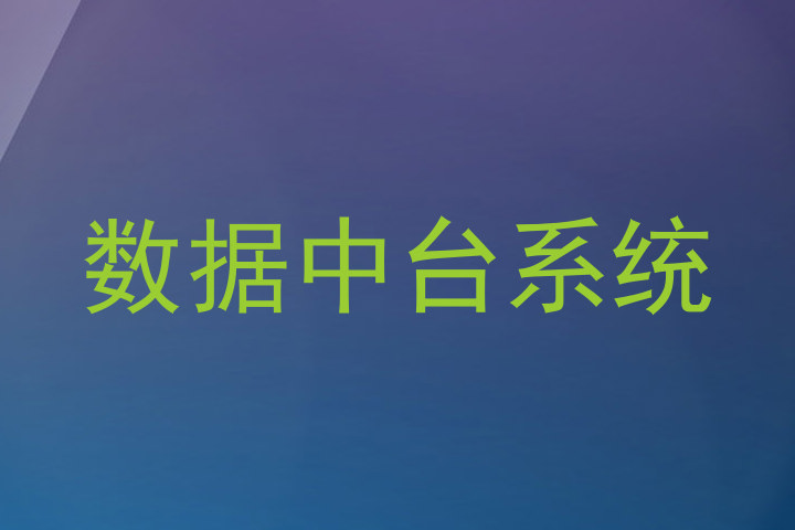 数据中台系统