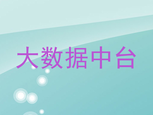 大数据中台