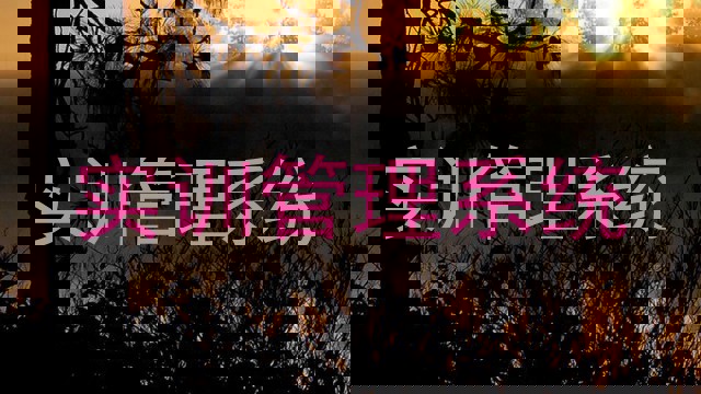 实训管理系统