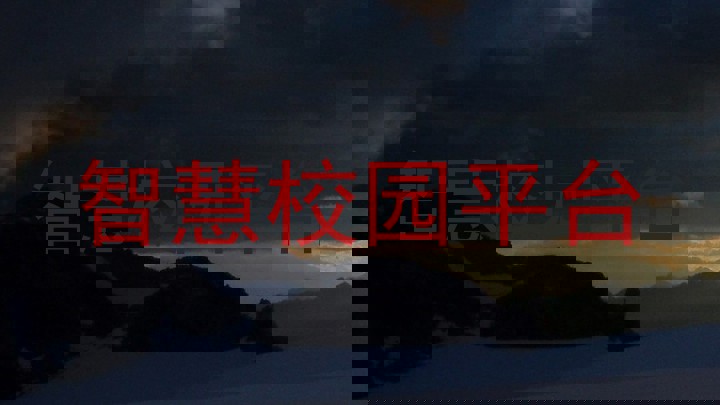 智慧校园平台