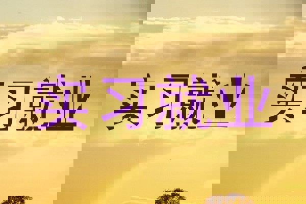 实习就业