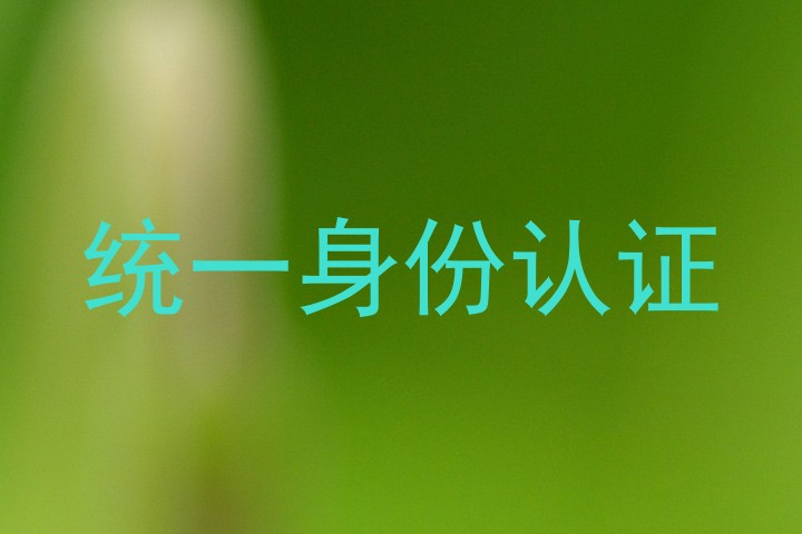 统一身份认证