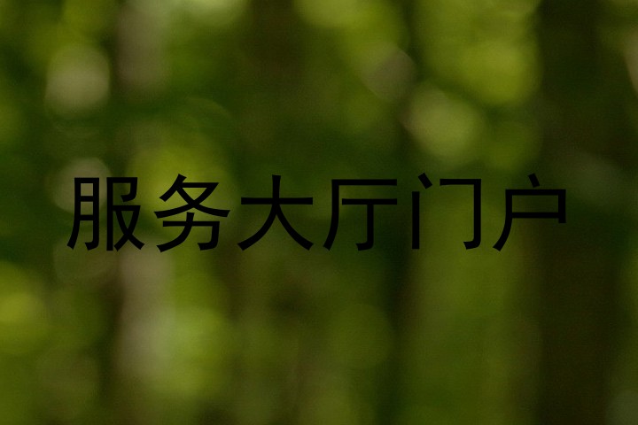 服务大厅门户