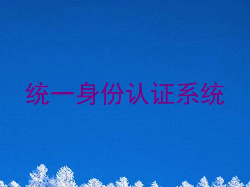 统一身份认证系统