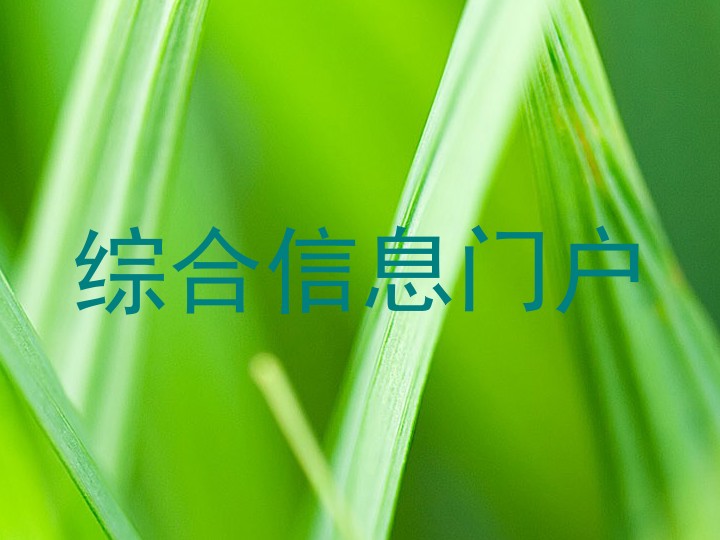 综合信息门户