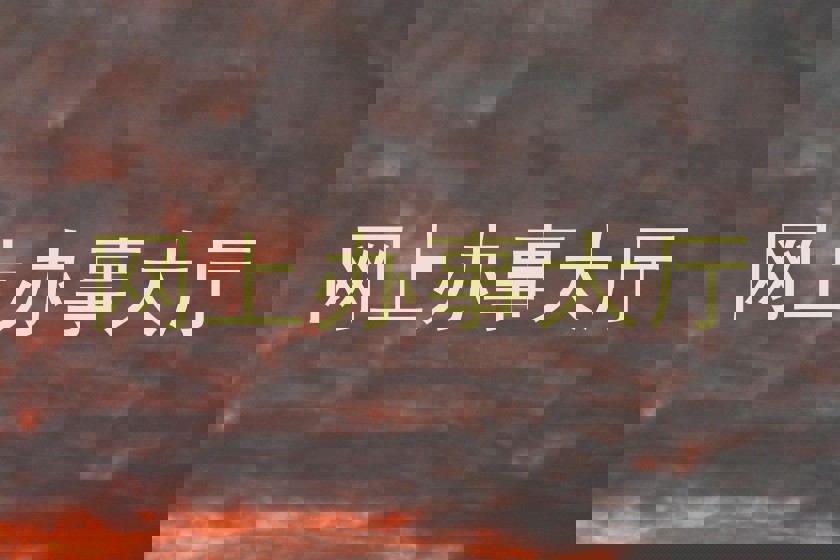 网上办事大厅