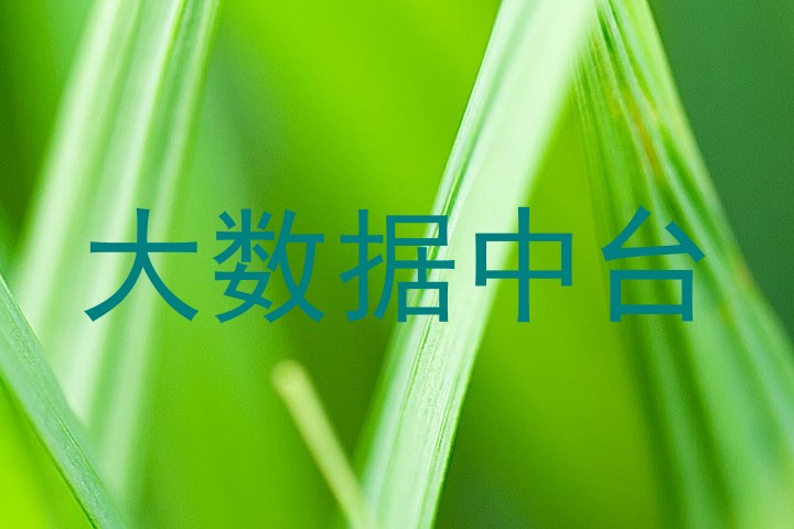 大数据中台