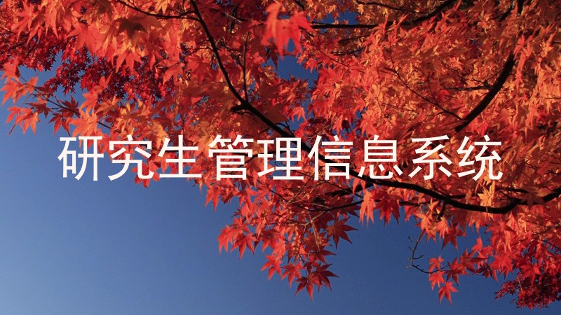 研究生管理信息系统