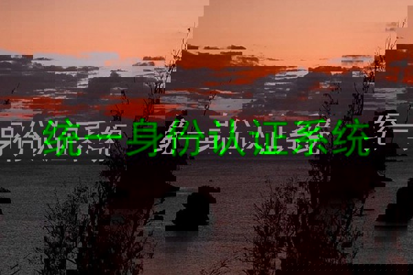 统一身份认证系统