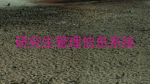 研究生管理信息系统