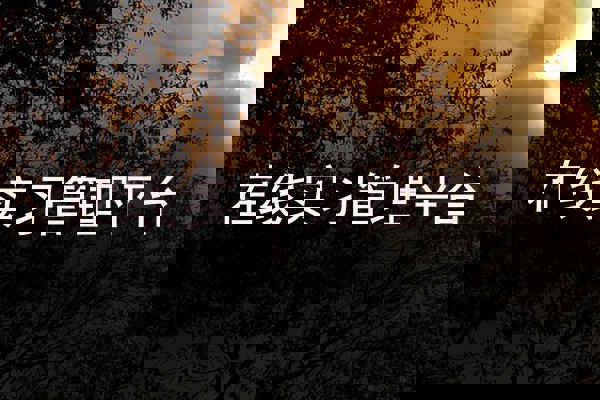 在线实习管理平台