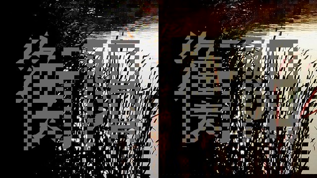 衡阳