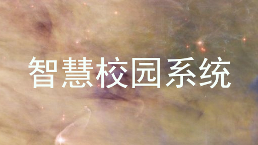 智慧校园系统