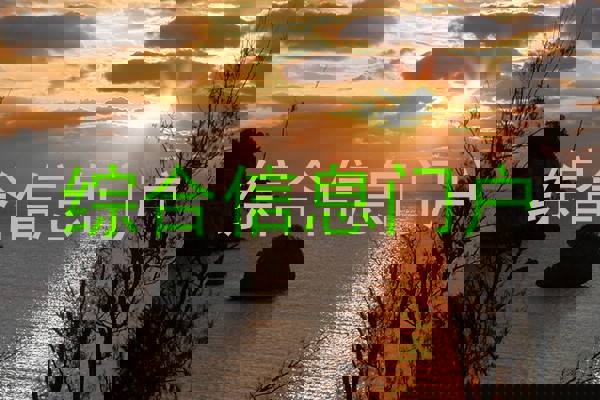 综合信息门户