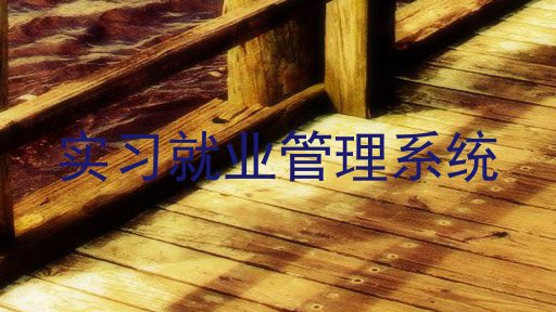 实习就业管理系统