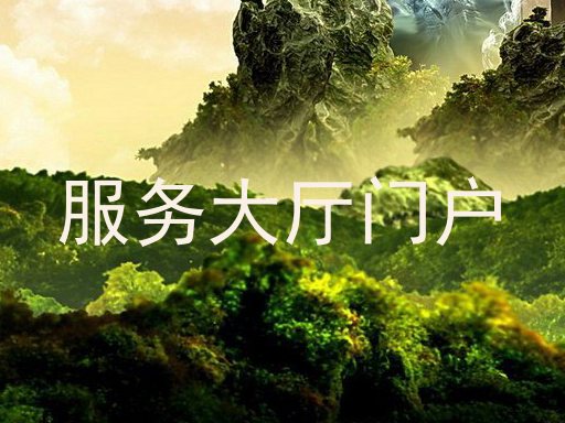 服务大厅门户
