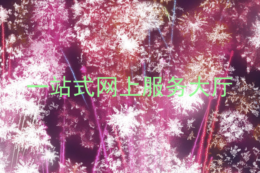 一站式网上服务大厅