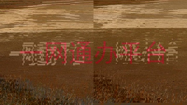 一网通办平台