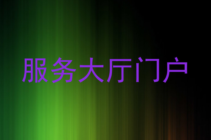 服务大厅门户