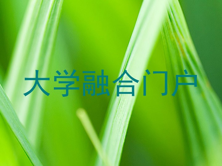 大学融合门户