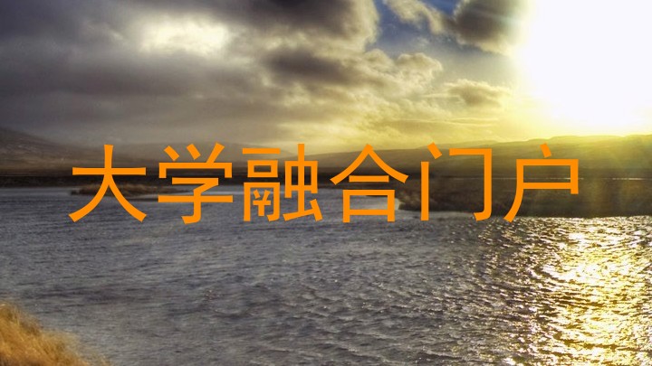 大学融合门户