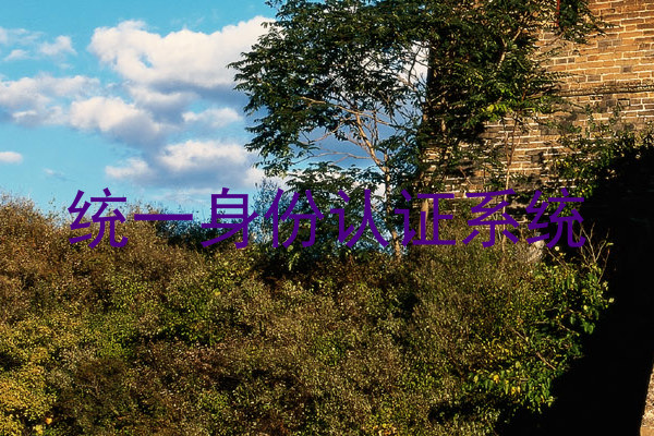 统一身份认证系统