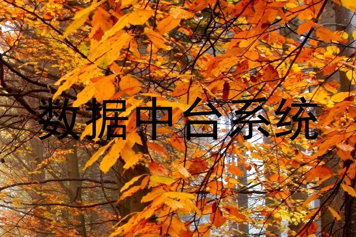 数据中台系统