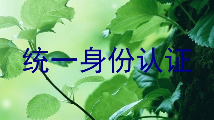 统一身份认证