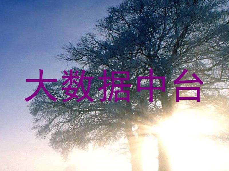 大数据中台