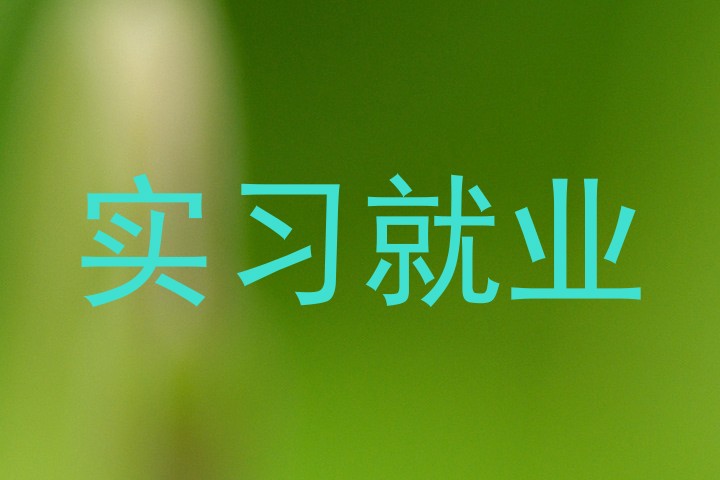 实习就业
