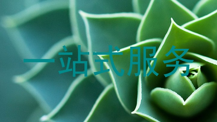 一站式服务