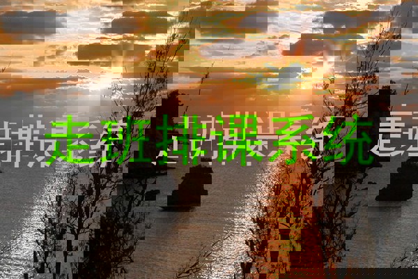 走班排课系统