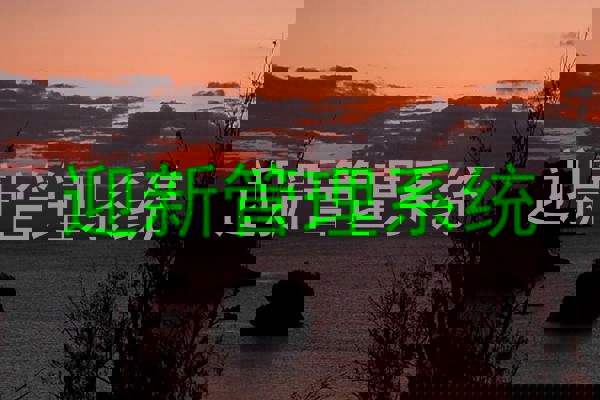 迎新管理系统