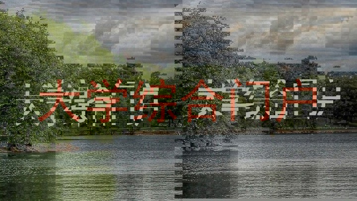 大学综合门户