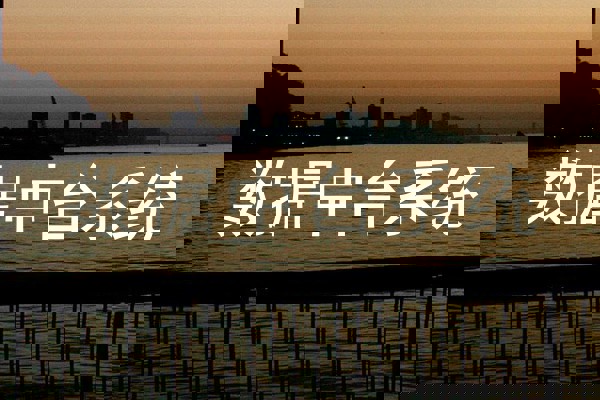 数据中台系统