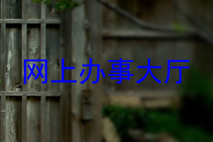 网上办事大厅