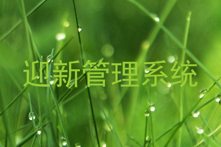 迎新管理系统