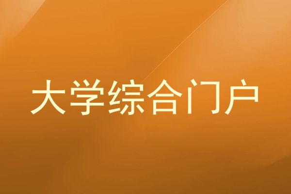 大学综合门户