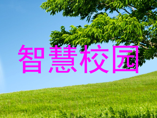 智慧校园